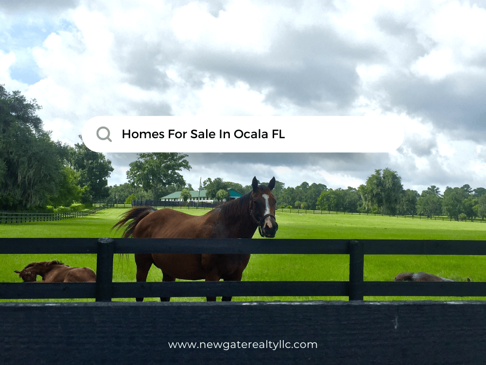 Homes For Sale In Ocala Fl | Real Estate Agent In Ocala Fl